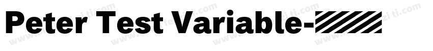 Peter Test Variable字体转换